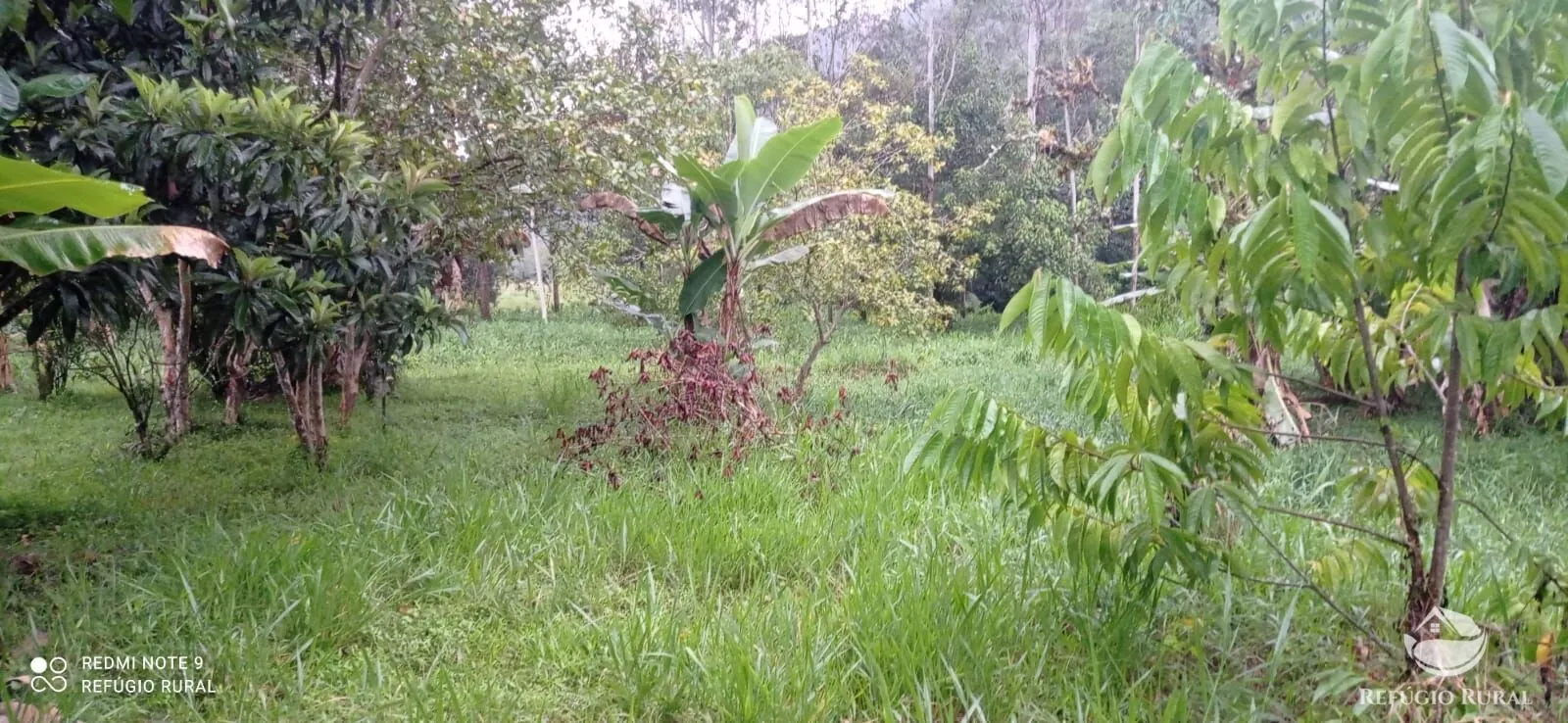 Sítio à venda de 4 ha em São José dos Campos, SP, Brasil