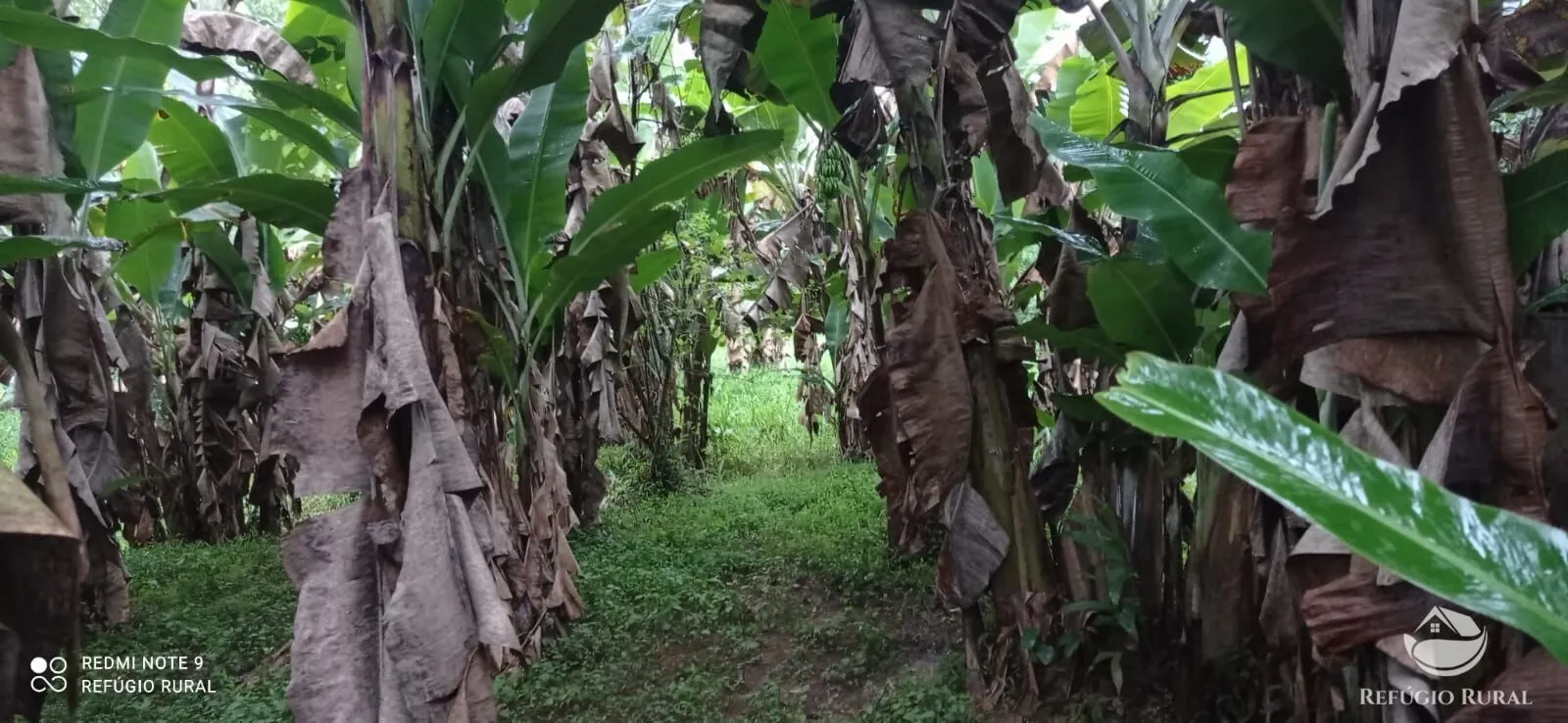 Sítio à venda de 4 ha em São José dos Campos, SP, Brasil