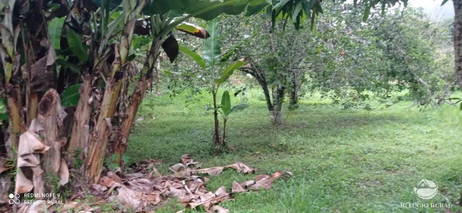 Sítio à venda de 4 ha em São José dos Campos, SP, Brasil