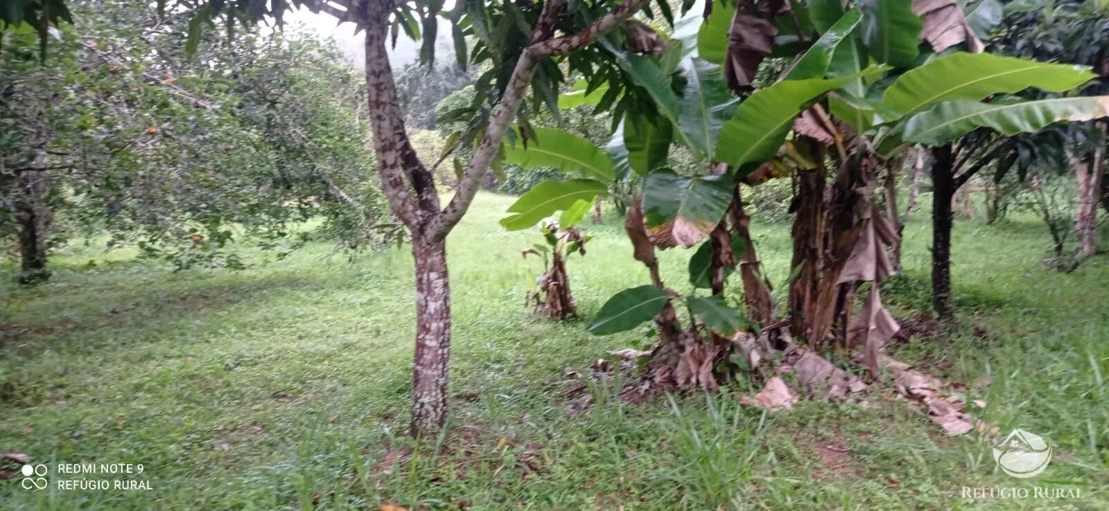 Sítio à venda de 4 ha em São José dos Campos, SP, Brasil