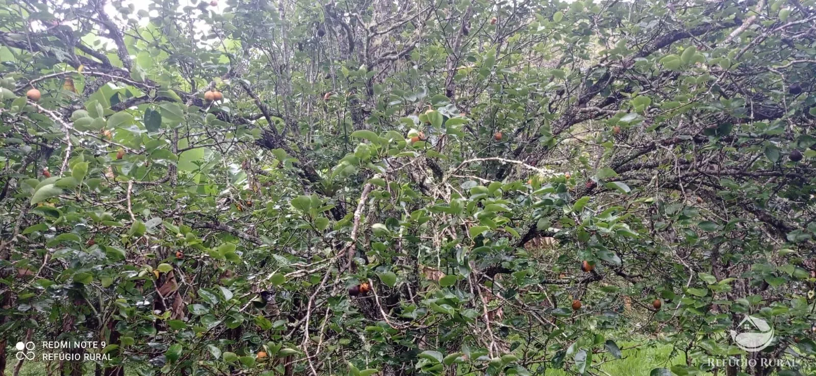 Sítio à venda de 4 ha em São José dos Campos, SP, Brasil