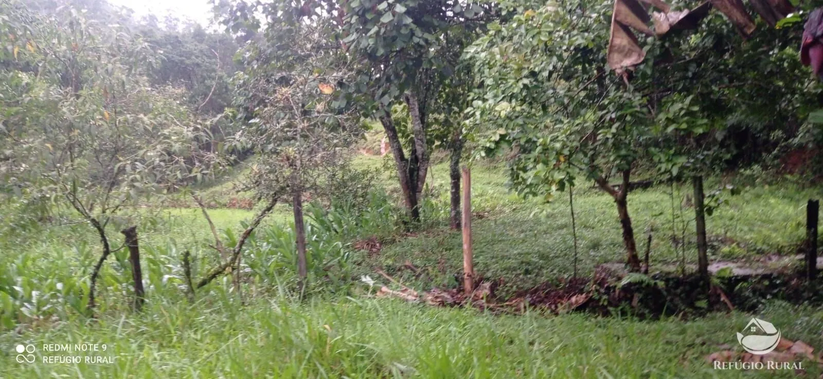 Sítio à venda de 4 ha em São José dos Campos, SP, Brasil