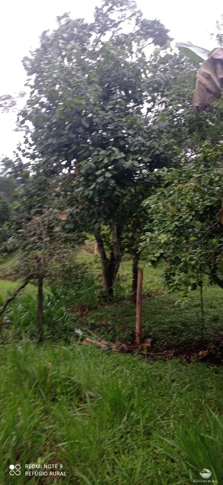 Sítio à venda de 4 ha em São José dos Campos, SP, Brasil