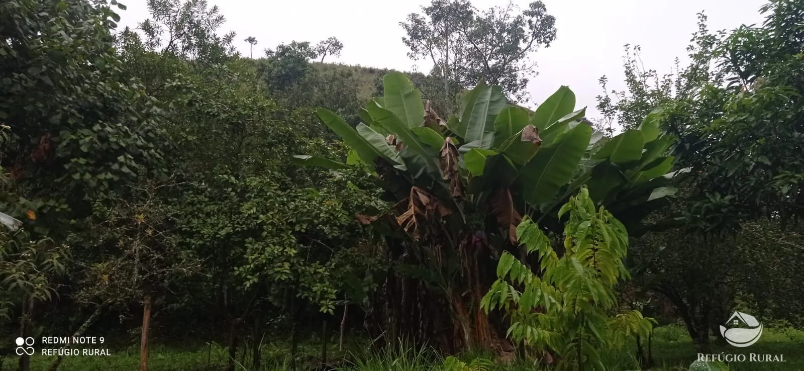 Sítio à venda de 4 ha em São José dos Campos, SP, Brasil