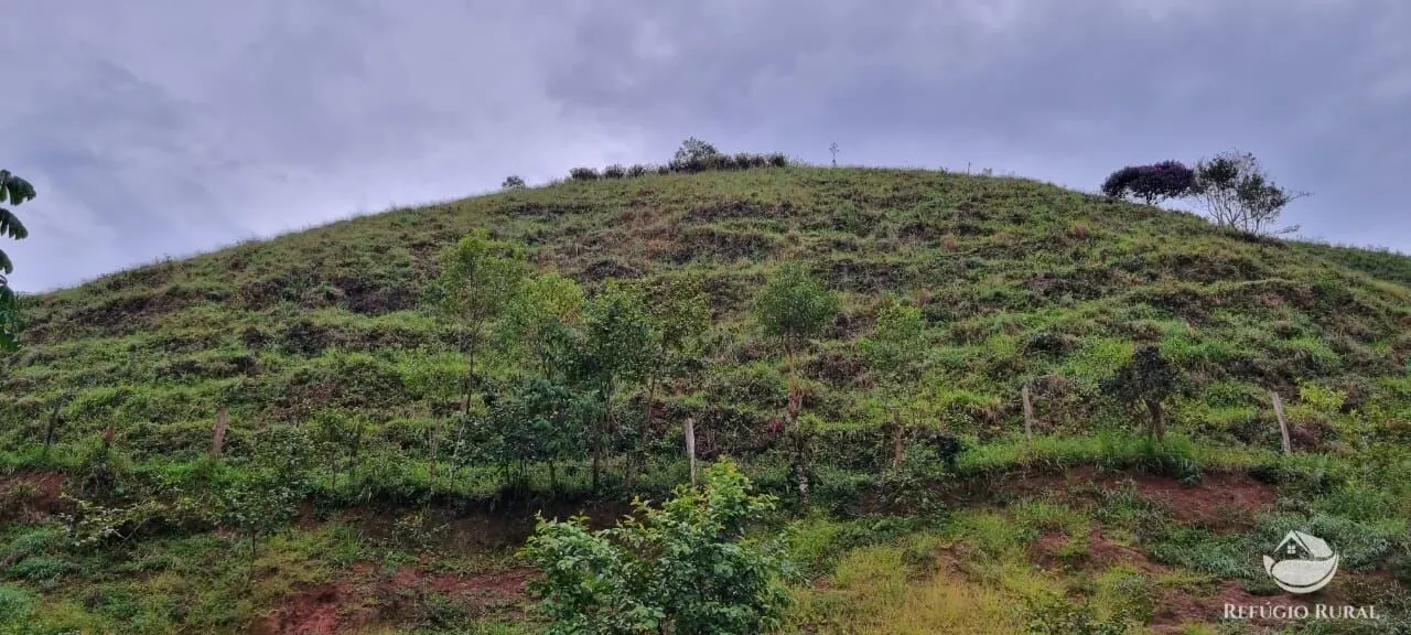 Sítio à venda de 4 ha em São José dos Campos, SP, Brasil