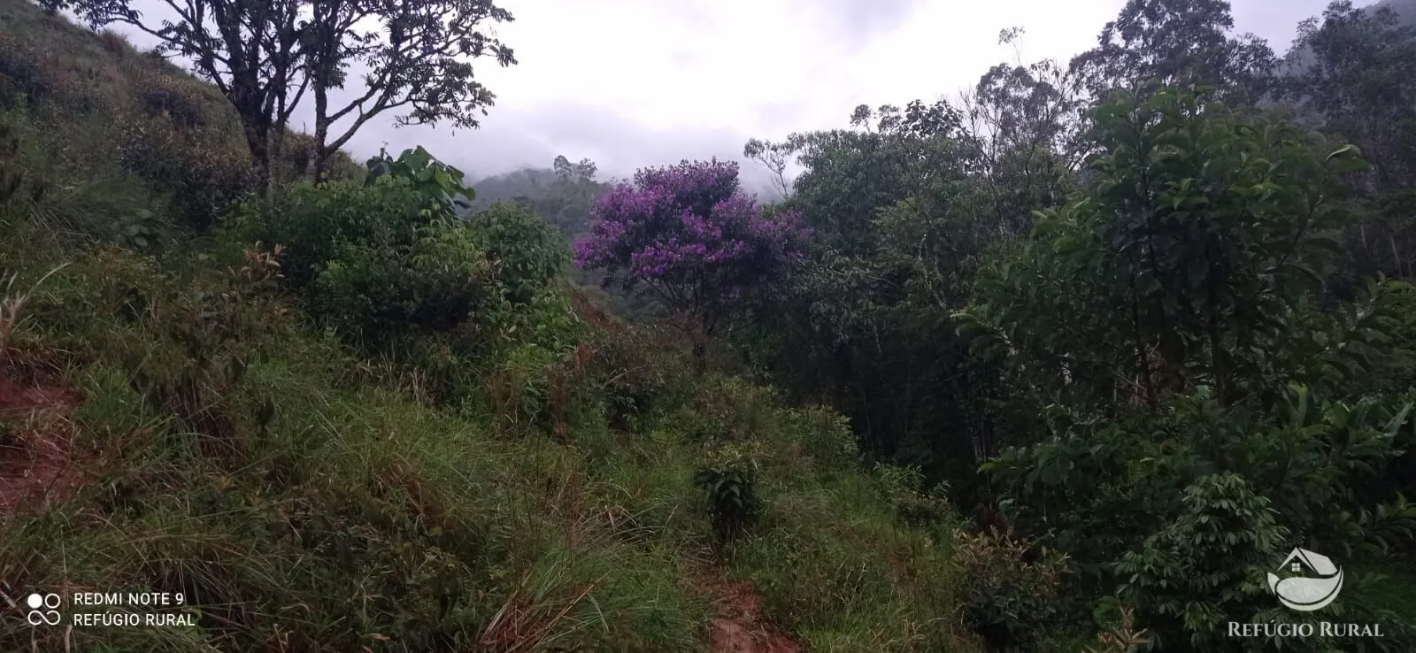Sítio à venda de 4 ha em São José dos Campos, SP, Brasil