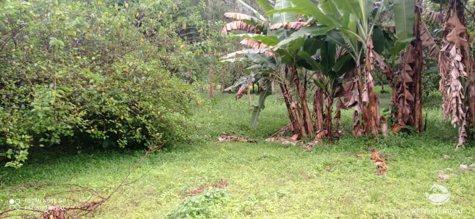 Sítio à venda de 4 ha em São José dos Campos, SP, Brasil
