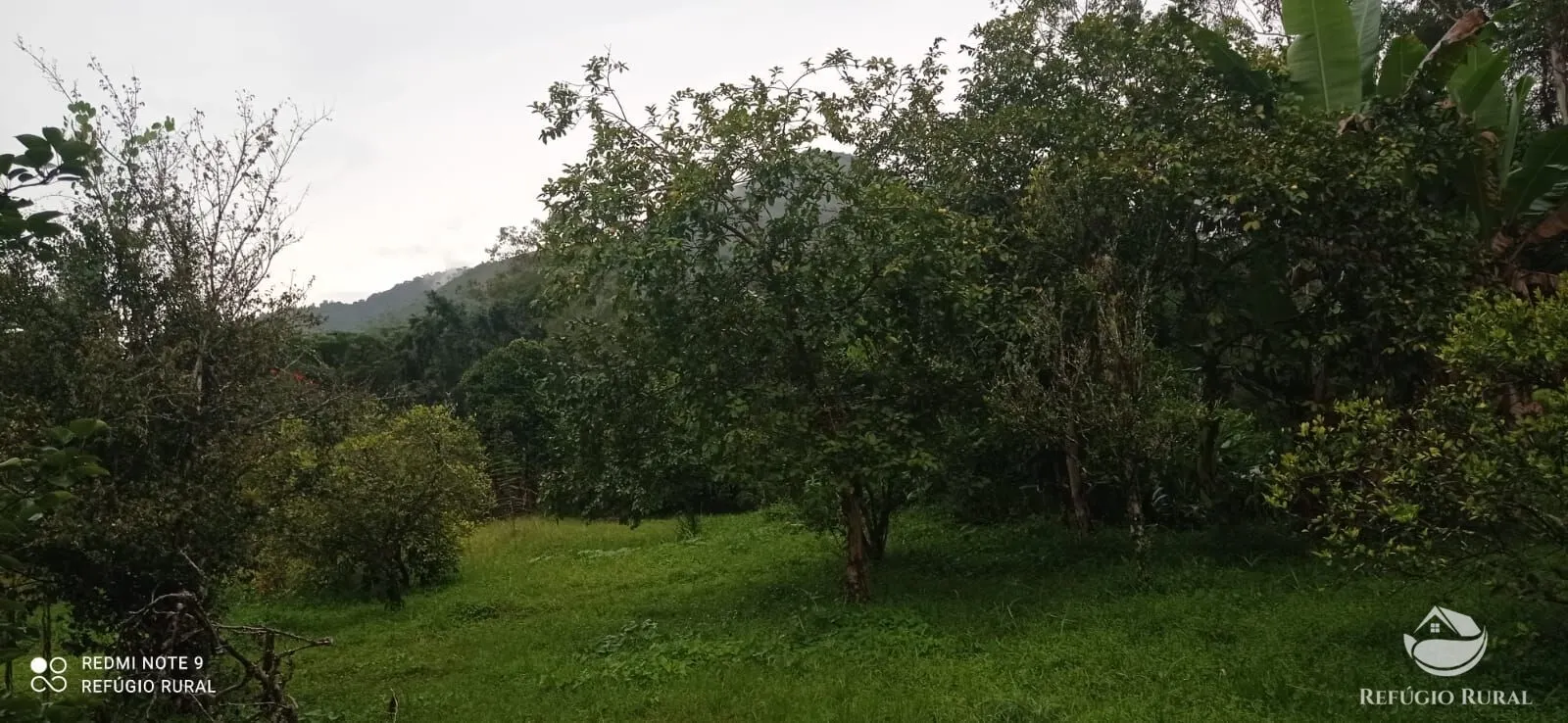 Sítio à venda de 4 ha em São José dos Campos, SP, Brasil
