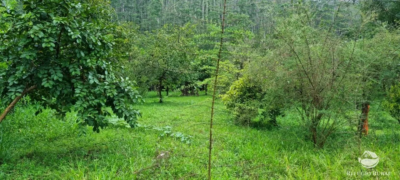 Sítio à venda de 4 ha em São José dos Campos, SP, Brasil
