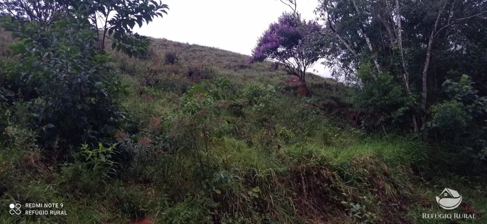 Sítio à venda de 4 ha em São José dos Campos, SP, Brasil