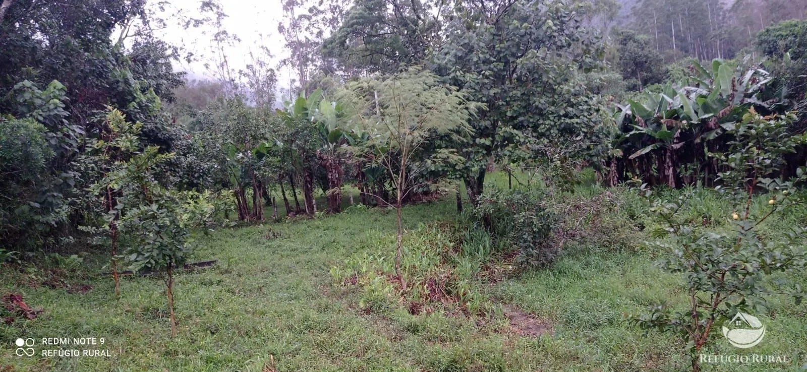 Sítio à venda de 4 ha em São José dos Campos, SP, Brasil