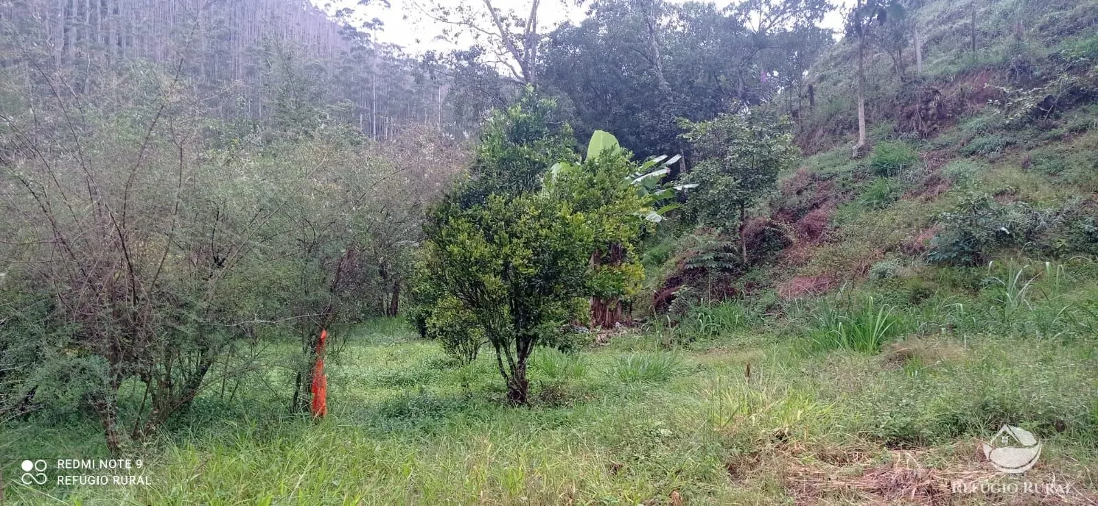 Sítio à venda de 4 ha em São José dos Campos, SP, Brasil