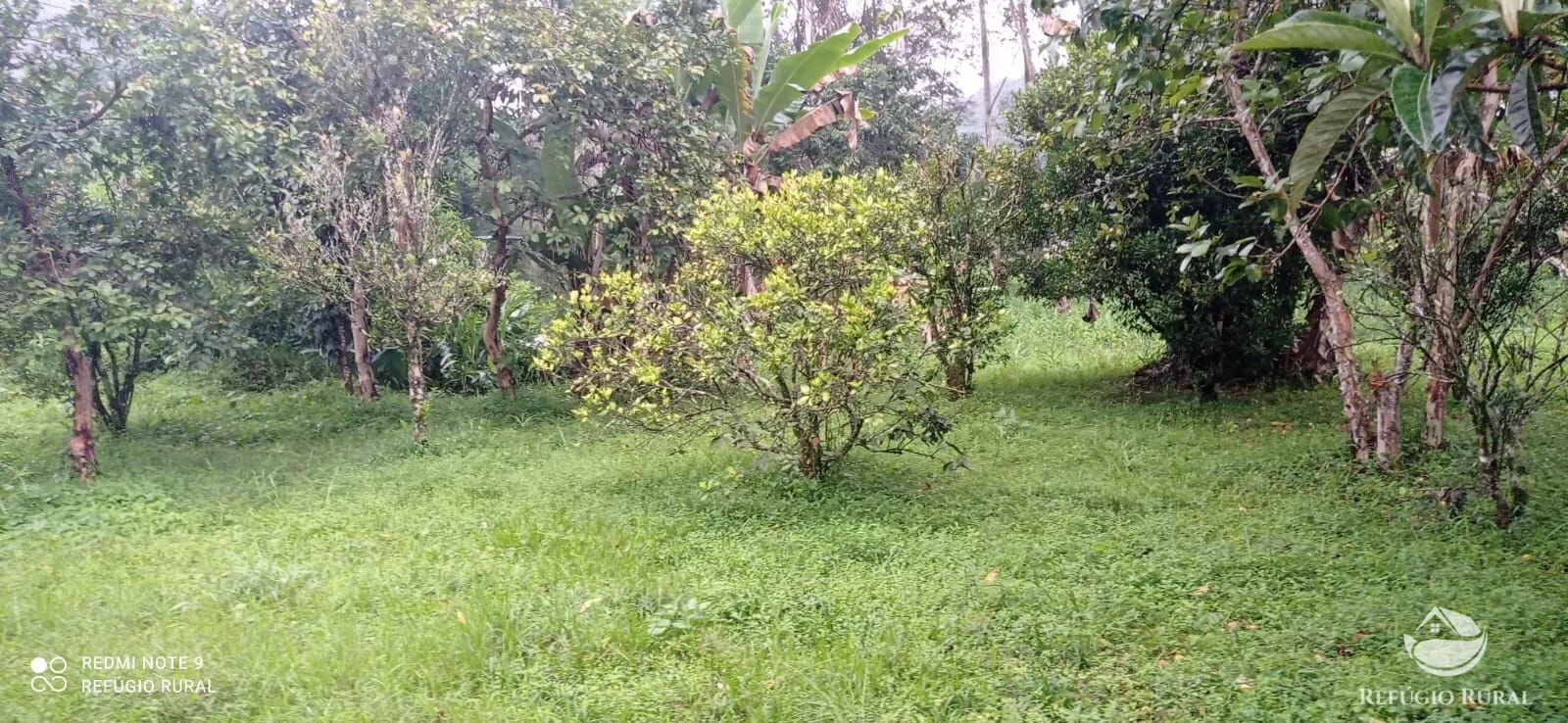 Sítio à venda de 4 ha em São José dos Campos, SP, Brasil