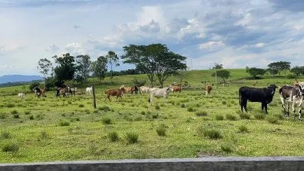 Fazenda à venda de 101 ha em Parobé, RS, Brasil