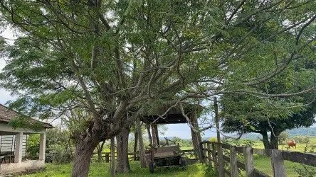 Fazenda à venda de 101 ha em Parobé, RS, Brasil