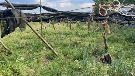 Fazenda à venda de 101 ha em Parobé, RS, Brasil