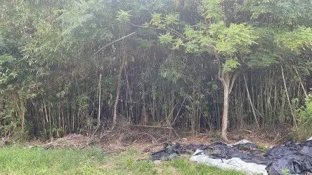 Fazenda à venda de 101 ha em Parobé, RS, Brasil