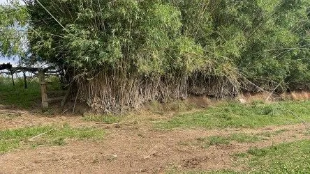 Fazenda à venda de 101 ha em Parobé, RS, Brasil