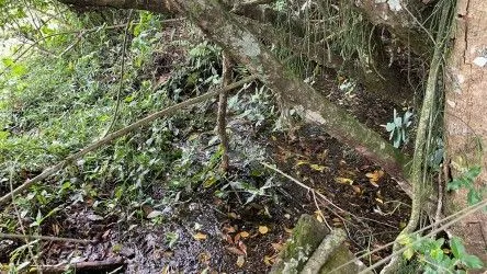 Fazenda à venda de 101 ha em Parobé, RS, Brasil
