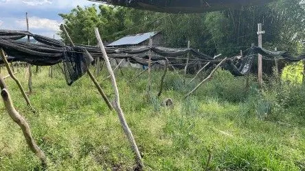 Fazenda à venda de 101 ha em Parobé, RS, Brasil