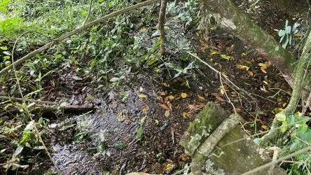 Fazenda à venda de 101 ha em Parobé, RS, Brasil