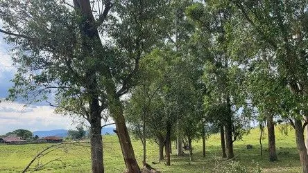 Fazenda à venda de 101 ha em Parobé, RS, Brasil
