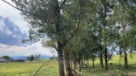 Fazenda à venda de 101 ha em Parobé, RS, Brasil