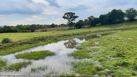 Fazenda à venda de 101 ha em Parobé, RS, Brasil