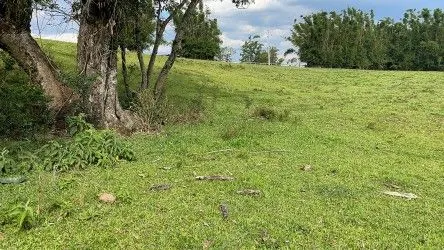 Fazenda à venda de 101 ha em Parobé, RS, Brasil