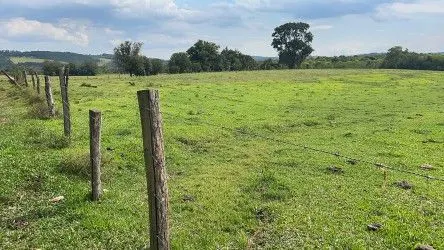 Fazenda à venda de 101 ha em Parobé, RS, Brasil