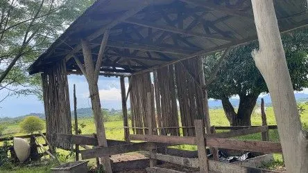 Fazenda à venda de 101 ha em Parobé, RS, Brasil