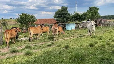 Fazenda à venda de 101 ha em Parobé, RS, Brasil