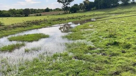 Fazenda à venda de 101 ha em Parobé, RS, Brasil
