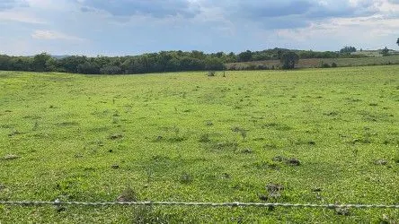 Fazenda à venda de 101 ha em Parobé, RS, Brasil