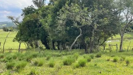 Fazenda à venda de 101 ha em Parobé, RS, Brasil