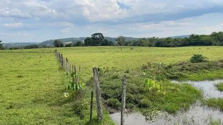 Fazenda à venda de 101 ha em Parobé, RS, Brasil