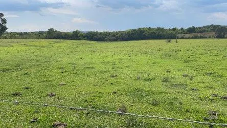 Fazenda à venda de 101 ha em Parobé, RS, Brasil