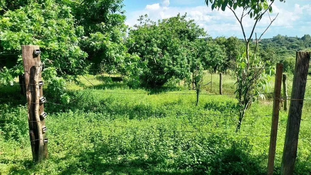 Small farm for sale of 40 acres in Araçoiaba da Serra, SP, Brazil