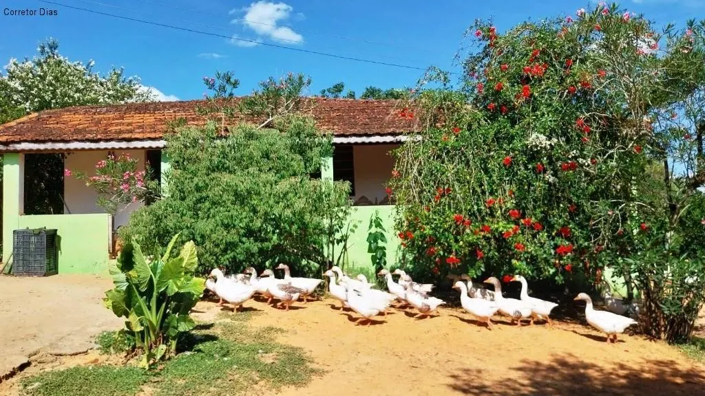 Small farm for sale of 40 acres in Araçoiaba da Serra, SP, Brazil