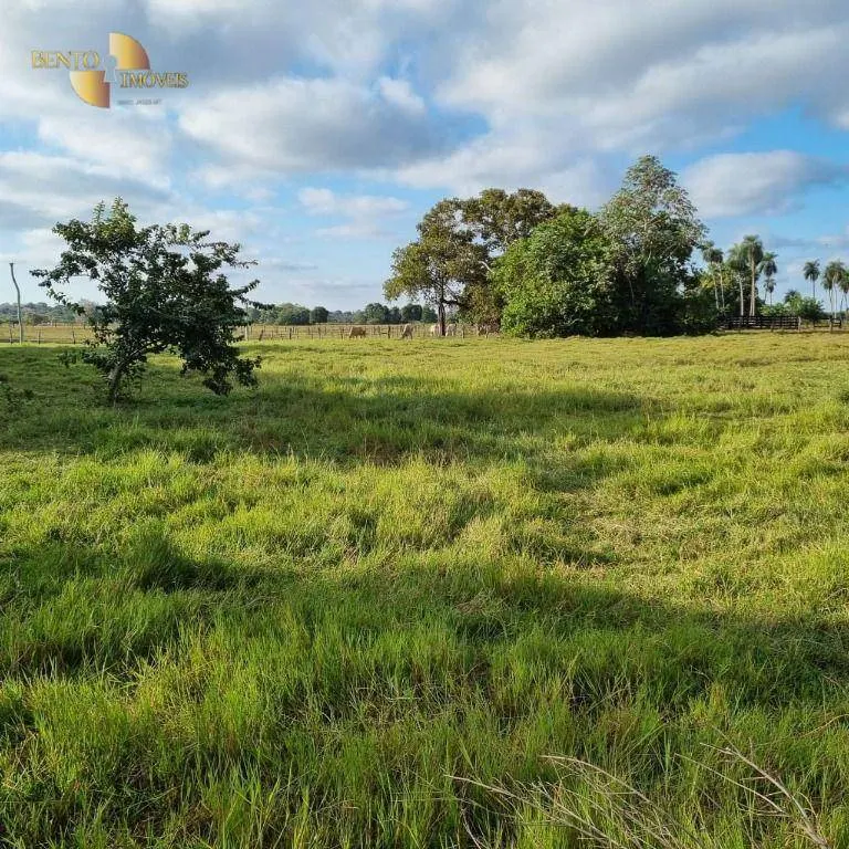 Farm for sale of 6,296 acres in Poconé, MT, Brazil
