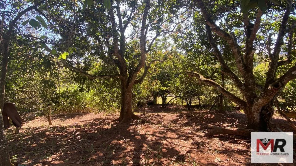 Small farm for sale of 10 acres in Inconfidentes, MG, Brazil