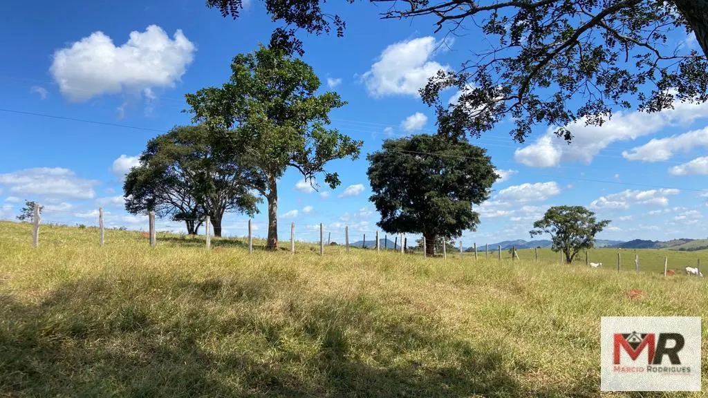 Small farm for sale of 10 acres in Inconfidentes, MG, Brazil