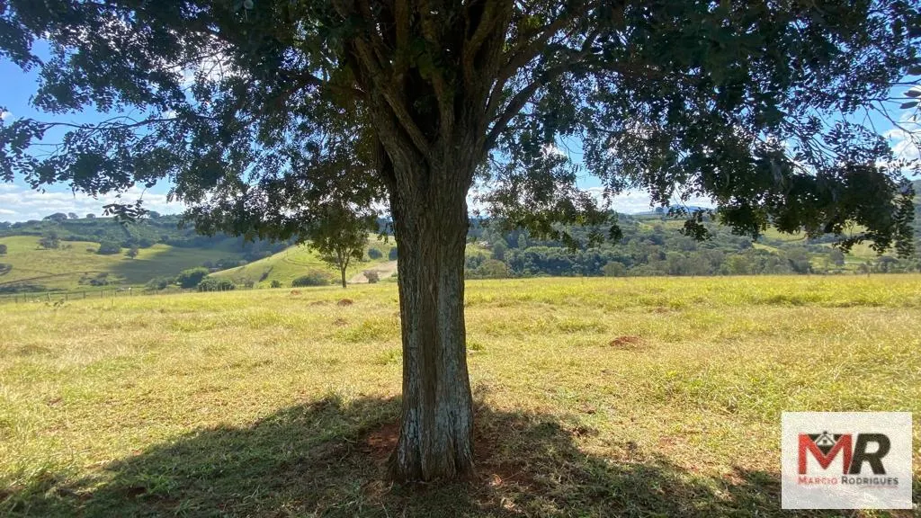 Small farm for sale of 10 acres in Inconfidentes, MG, Brazil