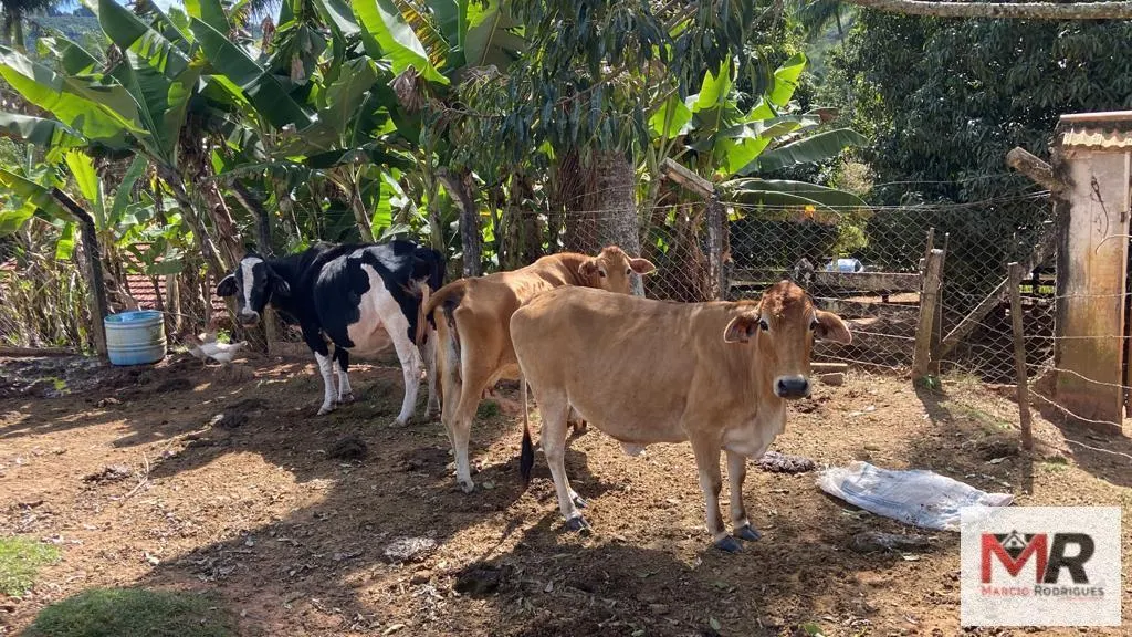 Small farm for sale of 10 acres in Inconfidentes, MG, Brazil
