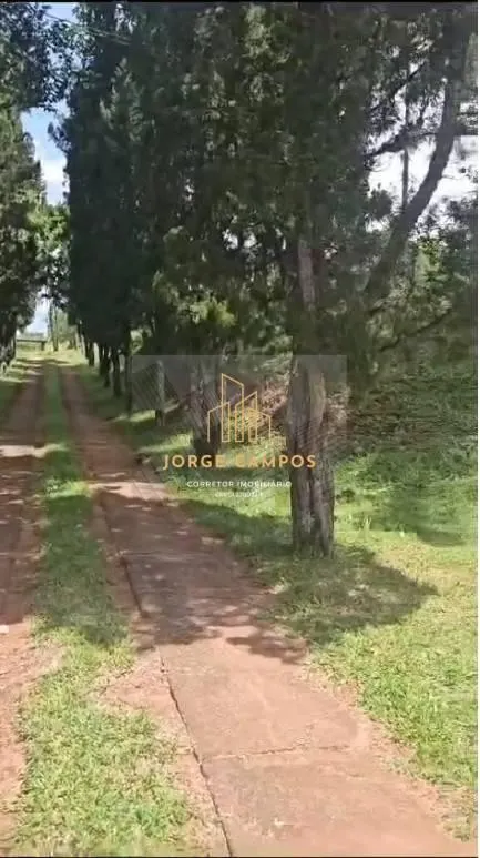 Fazenda à venda de 140 ha em Guaratinguetá, SP, Brasil