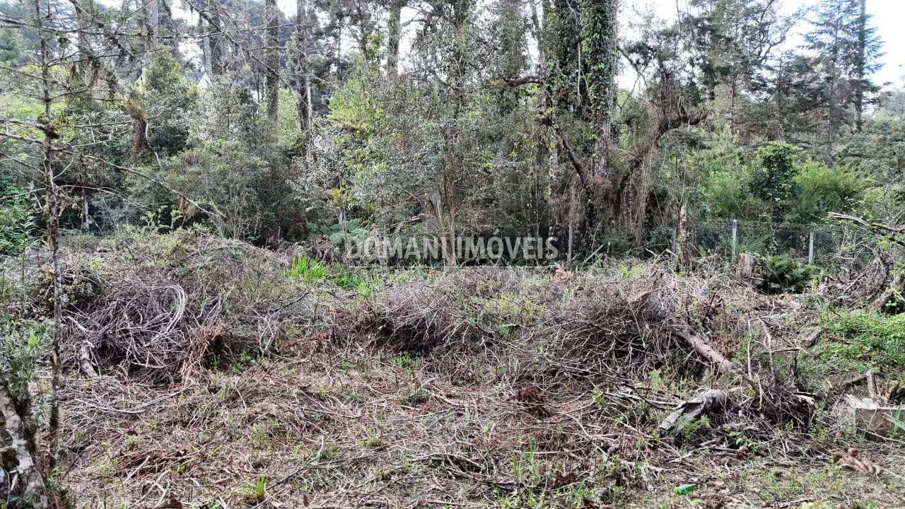 Plot for sale of 1,200 m² in Campos do Jordão, SP, Brazil