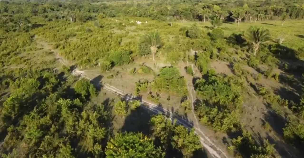 Sítio à venda de 50 ha em São Miguel do Guamá, PA, Brasil