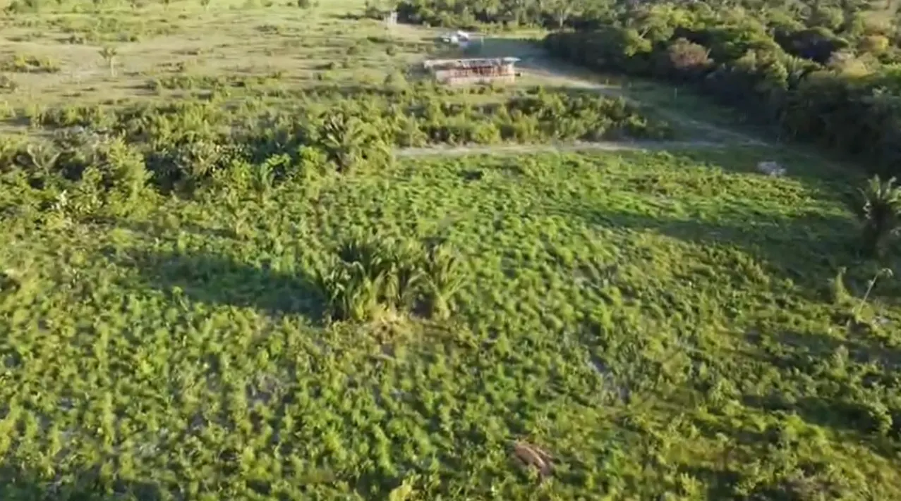 Sítio à venda de 50 ha em São Miguel do Guamá, PA, Brasil