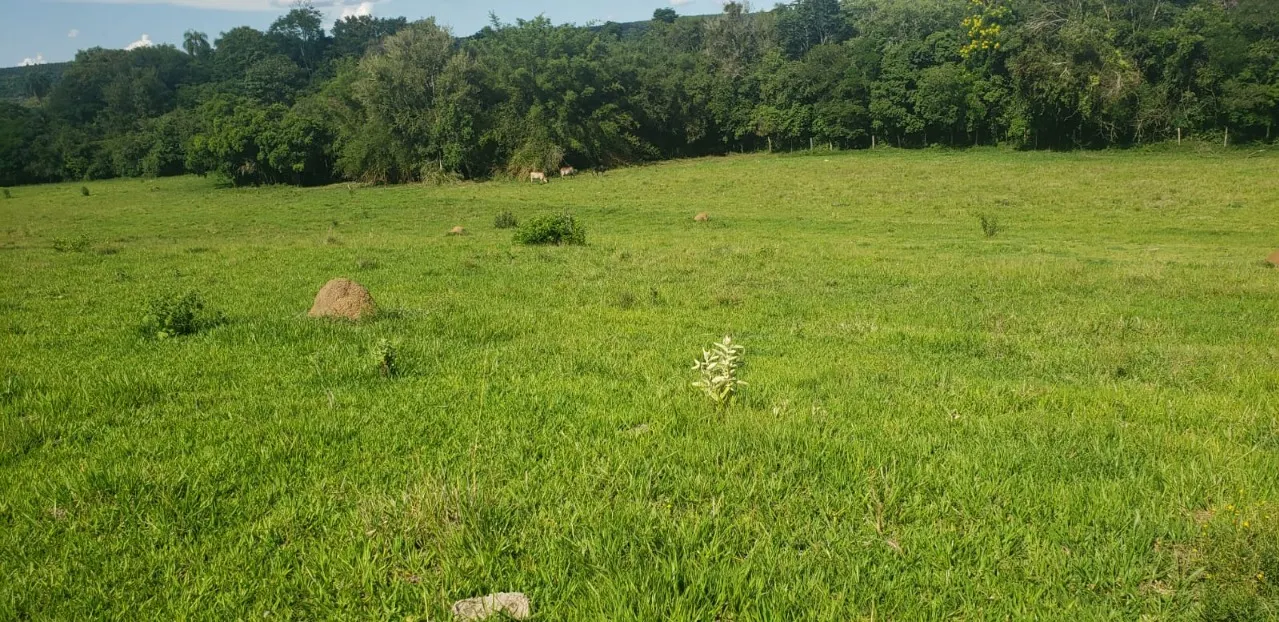 Fazenda à venda de 7 ha em Angatuba, SP, Brasil
