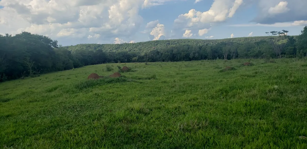 Fazenda à venda de 7 ha em Angatuba, SP, Brasil